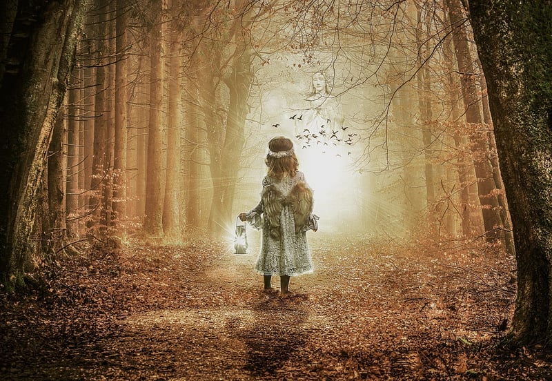 Whimsical Woodlands